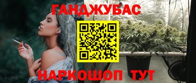 гидра Краснодар