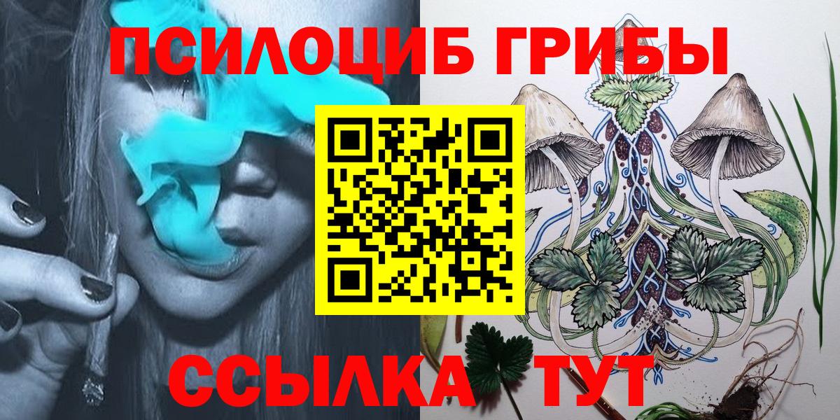 купить наркотик  Галлюциногенные грибы Cubensis  Вход с VPN  Псилоцибиновые грибы Magic Shrooms  Кингисепп 
