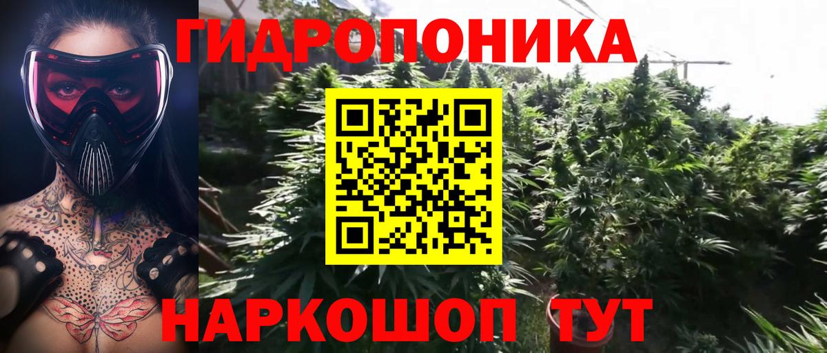 Конопля VHQ Кингисепп